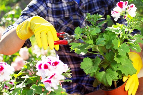 Landscaping and rubbish removal team working safely in Richmond upon Thames