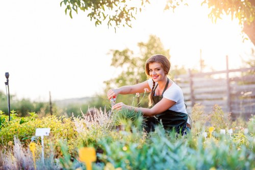 Customer complaint review for landscaping work