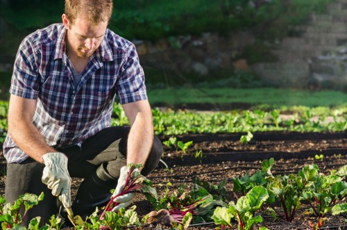 Accessibility request support for local landscaping services