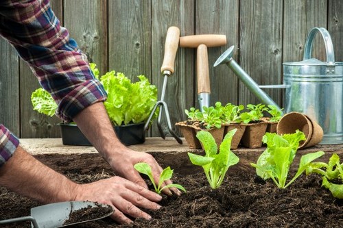 Free quote policy for garden clearance services