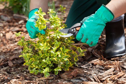 Professional landscaping features and planting in a Richmond garden