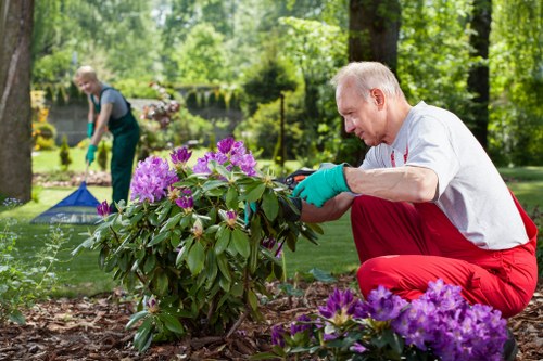 Low-maintenance planting services in Richmond upon Thames for homes and businesses