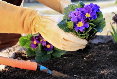 Garden planning for flower bed creation in Richmonduponthames with soil preparation