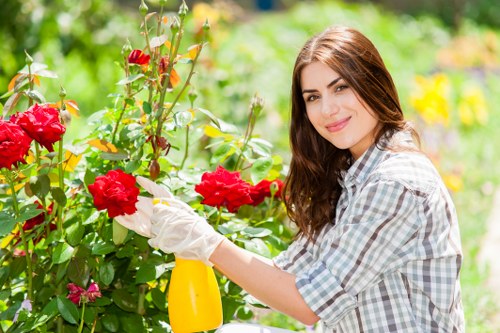 Planning a garden renovation in Richmonduponthames for a modern outdoor space