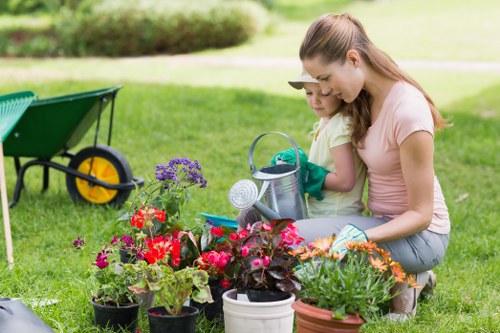 Professional grass cutting in a suburban Richmond upon Thames home