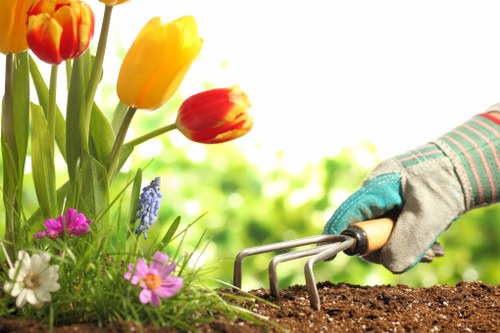 Planning a landscaping project in Richmond upon Thames