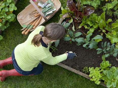 Low-carbon van used for sustainable landscaping waste collection