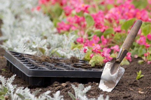 Aerating a lawn in Richmond upon Thames
