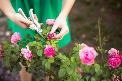 Garden waste removal and tidy-up service in Richmonduponthames