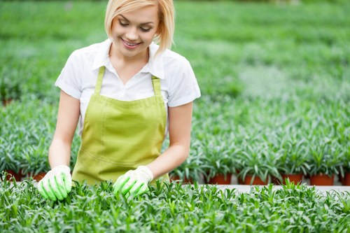 Seasonal lawn mowing maintenance in Richmond upon Thames