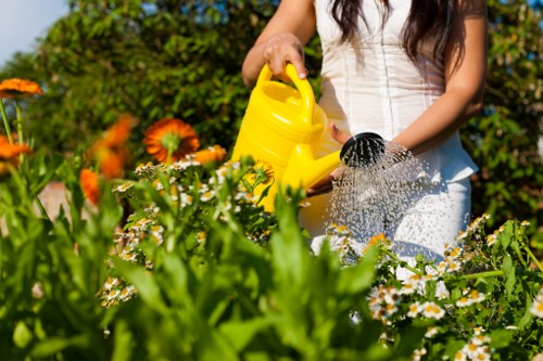 Seasonal garden maintenance tasks in a Richmond upon Thames garden